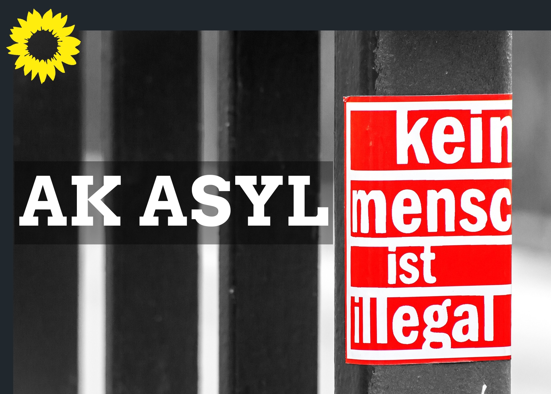 AK Asyl, im Hintergrund sind Metallstäbe einer Gefängniszelle zu sehen, im Vordergrund die Aufschrift "kein Mensch ist illegal" in rot-weißer Schrift, links oben das Logo von Bündnis 90 / Die Grünen, der Kranz einer gelben Sonnenblume